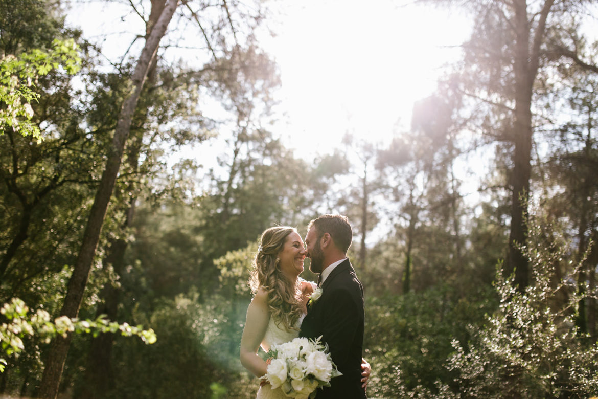 Sense and sensibility in the forest: M&T