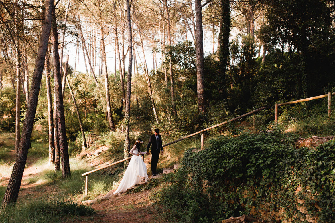 Vídeo: Naturalitat i Llum al bosc de la masia P&D